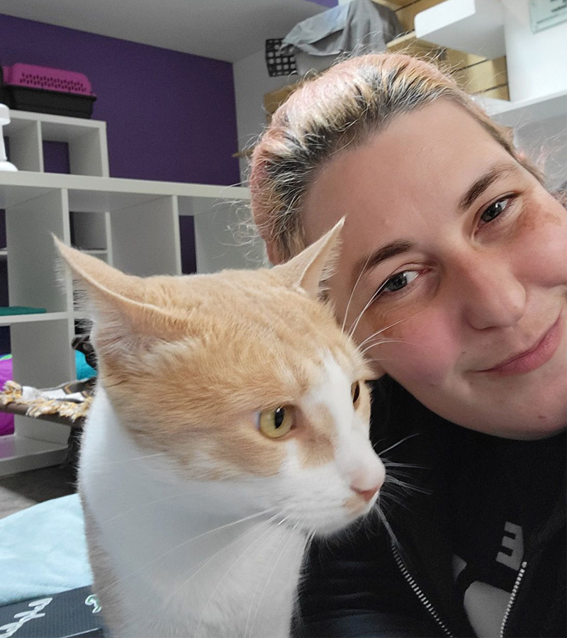 Cat Behavior Expert Houston Cat Behavior